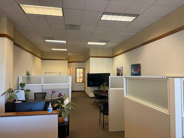 Multiple Desks / Office Cubicles  
